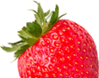 slider-9.png